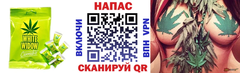 мега как войти  Чадан  Печенье с ТГК конопля  как найти  