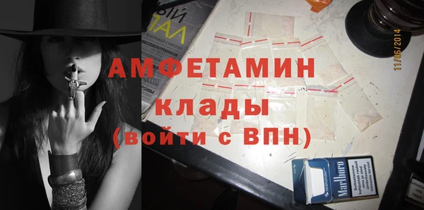 ГАЛЛЮЦИНОГЕННЫЕ ГРИБЫ Липки