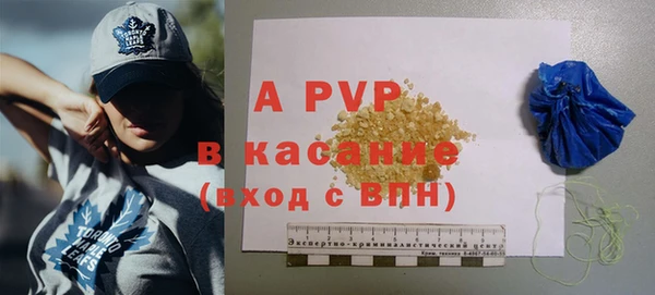 ГАЛЛЮЦИНОГЕННЫЕ ГРИБЫ Липки