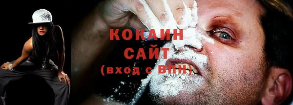 мяу мяу мука Инсар