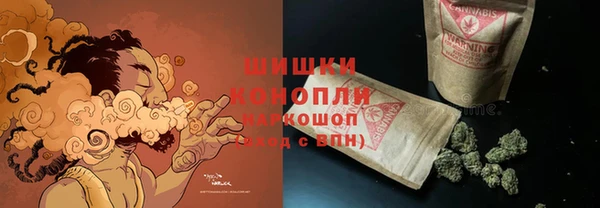 стафф Иннополис