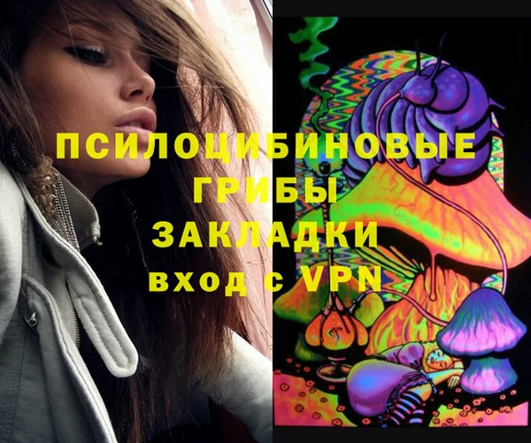 ГАЛЛЮЦИНОГЕННЫЕ ГРИБЫ Липки